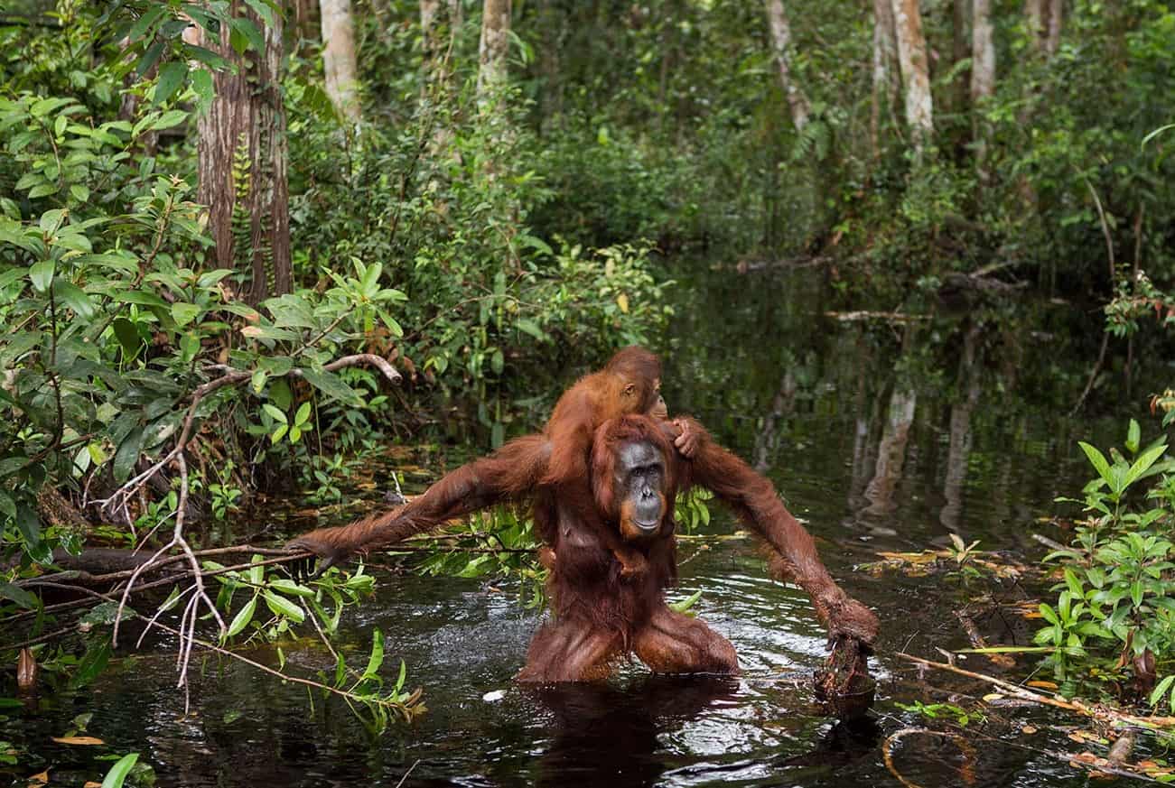 Photo: wild sighting
