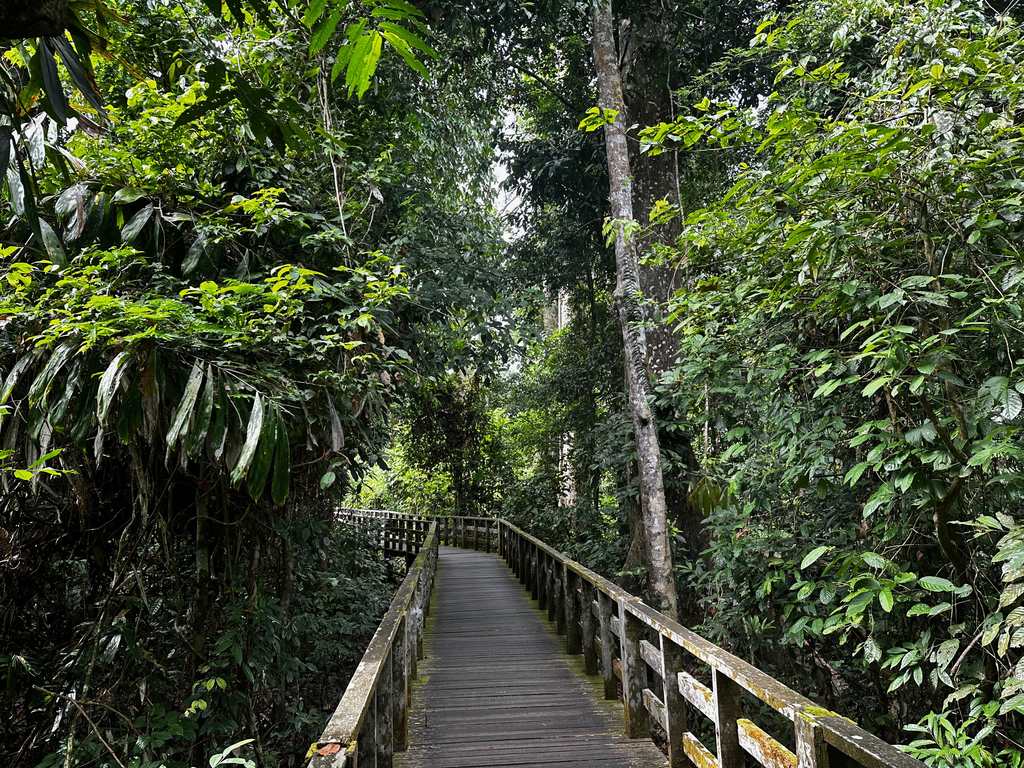 Photo: the boardwalk
