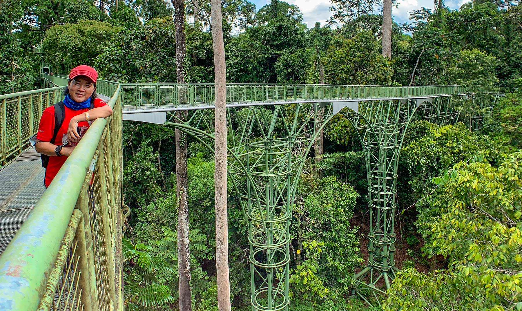 Photo: canopy walkway