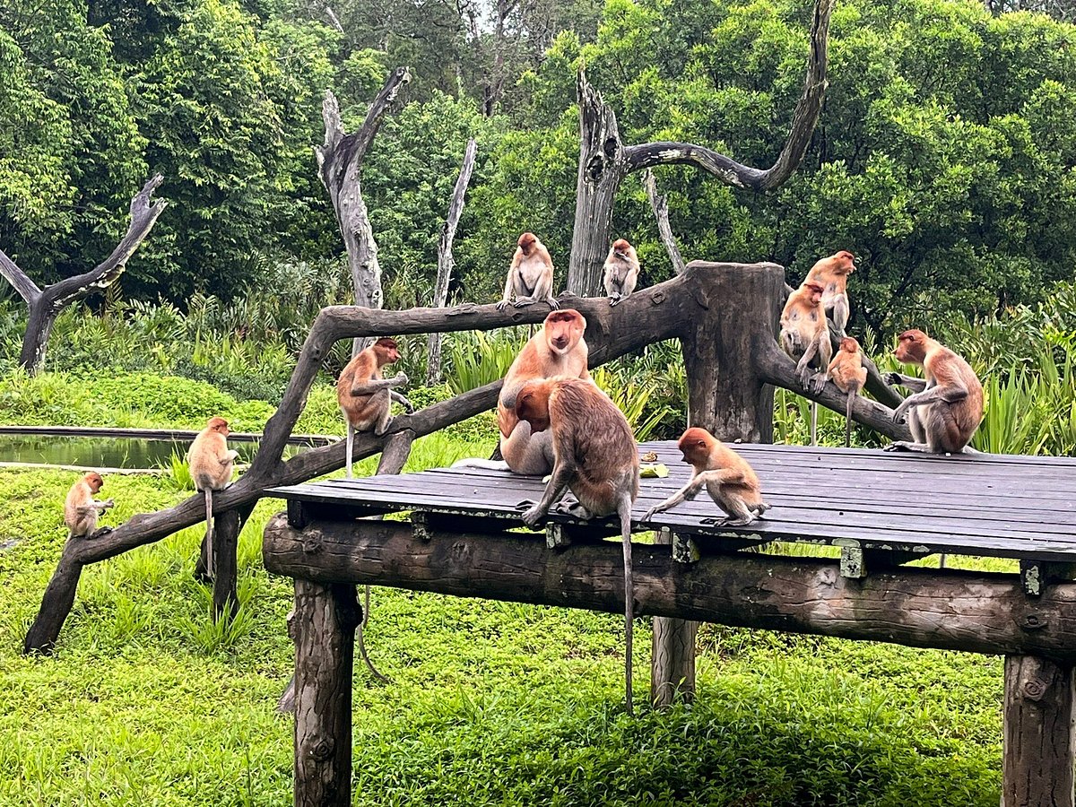 Photo: the quiet platform