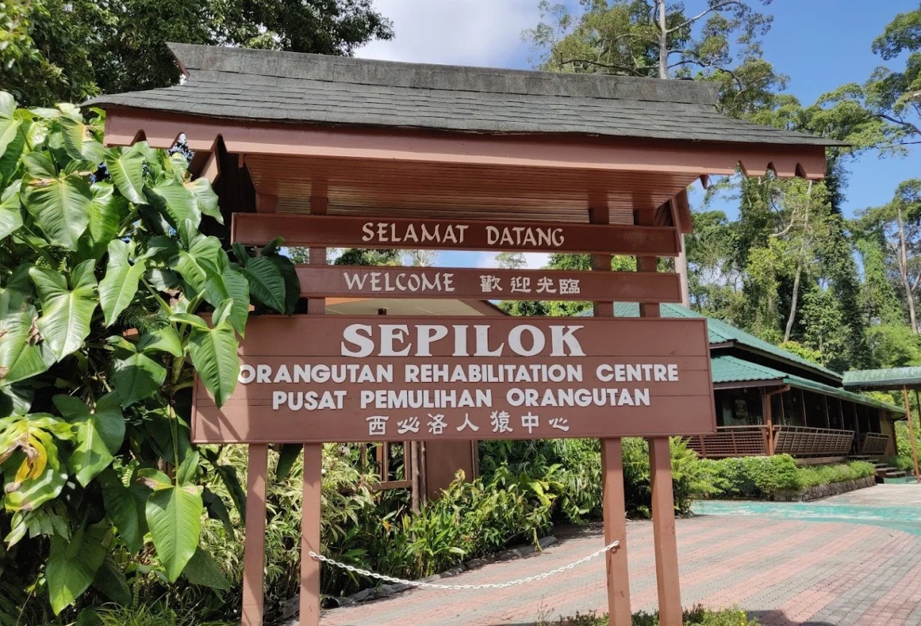 Photo: the Sepilok junction
