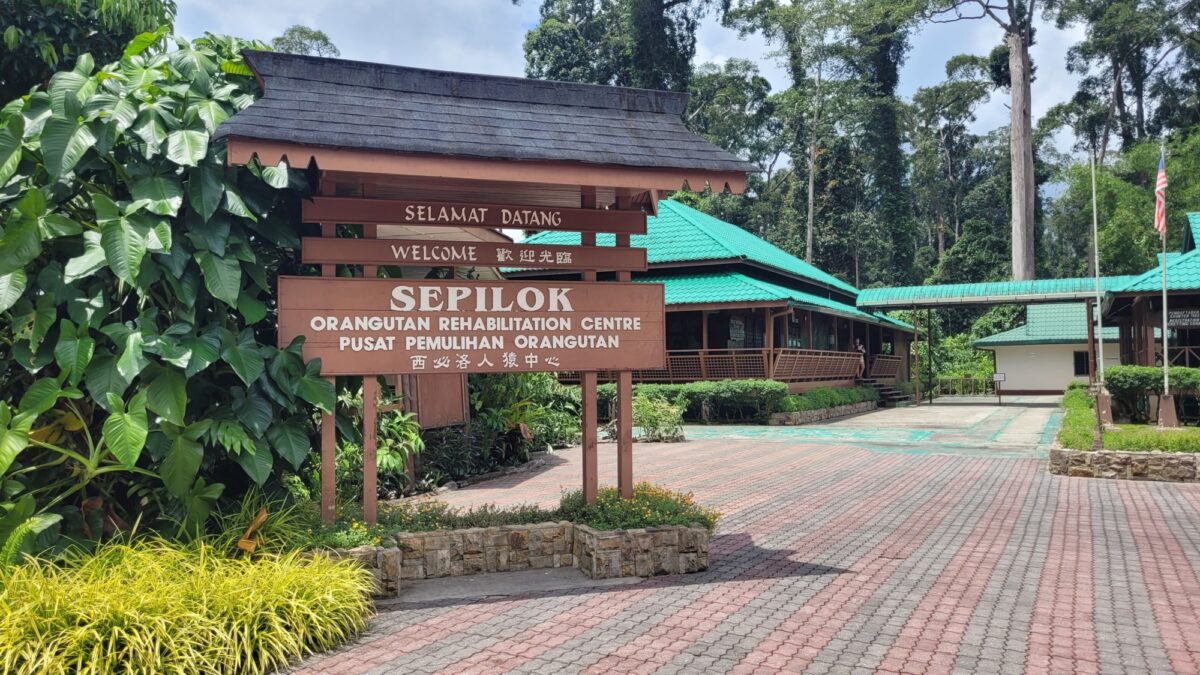 Photo: ticket counter & entrance