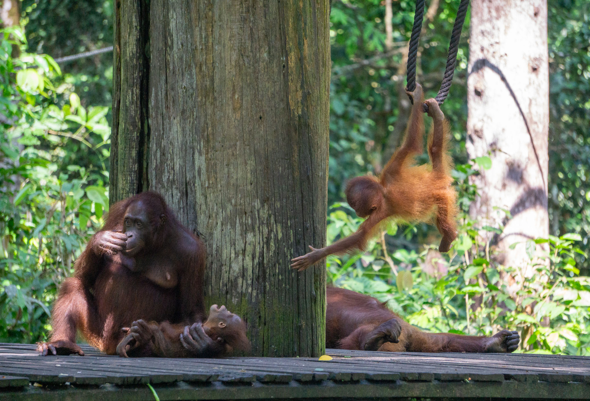Photo: family at the viewing window